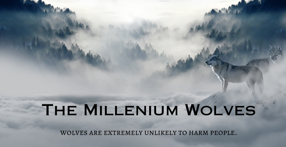 The Millenium Wolves Pdf