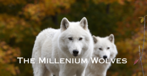 The Millenium Wolves Pdf